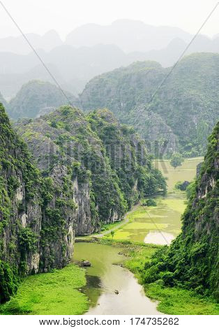 Top View Of The Ngo Dong River And Rice Fields, Vietnam