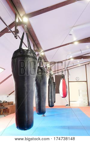 Interior of a boxing hall
