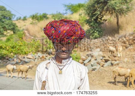 A Rajasthani Tribal Man Wearing Traditional Colorful Red Turban And Protects The Goats