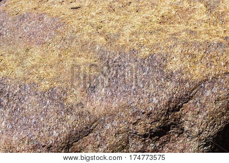 Close Up Of Cracked Rock Fragment