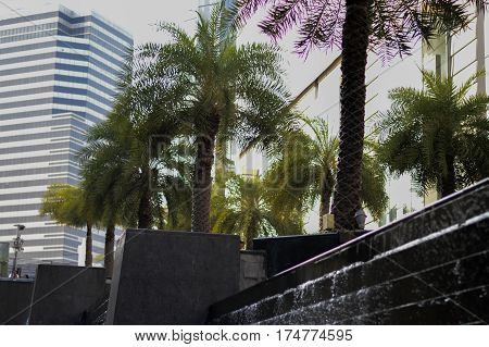 small garden waterfall on the wall of the Building