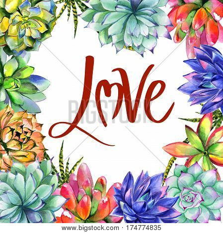 Wildflower succulentus flower frame in a watercolor style isolated. Full name of the plant: succulentus. Aquarelle wild flower for background, texture, wrapper pattern, frame or border.