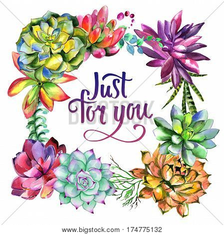 Wildflower succulentus flower frame in a watercolor style isolated. Full name of the plant: succulentus. Aquarelle wild flower for background, texture, wrapper pattern, frame or border.