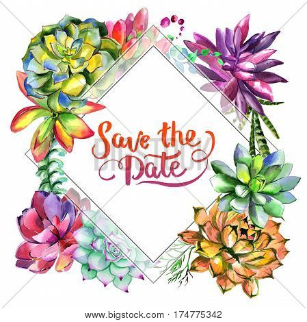 Wildflower succulentus flower frame in a watercolor style isolated. Full name of the plant: succulentus. Aquarelle wild flower for background, texture, wrapper pattern, frame or border.