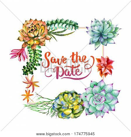 Wildflower succulentus flower frame in a watercolor style isolated. Full name of the plant: succulentus. Aquarelle wild flower for background, texture, wrapper pattern, frame or border.