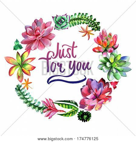 Wildflower succulentus flower frame in a watercolor style isolated. Full name of the plant: succulentus. Aquarelle wild flower for background, texture, wrapper pattern, frame or border.