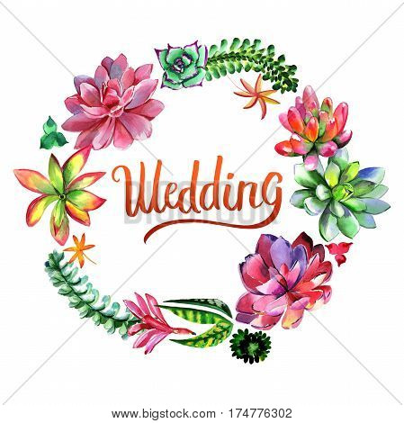 Wildflower succulentus flower frame in a watercolor style isolated. Full name of the plant: succulentus. Aquarelle wild flower for background, texture, wrapper pattern, frame or border.