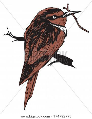 illustration of brown bird on the branch