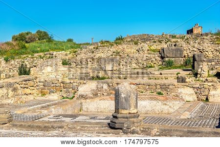 Ruins of Volubilis, a Berber and Roman city in Morocco. UNESCO world heritage site