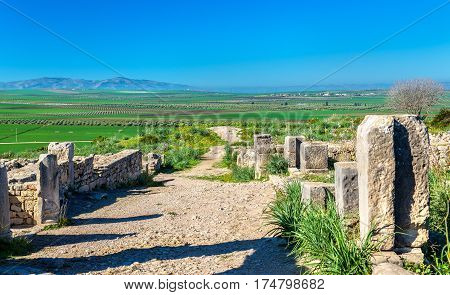 Ruins of Volubilis, a Berber and Roman city in Morocco. UNESCO world heritage site