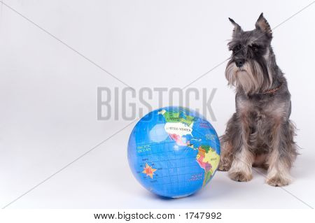 Dog And The Globe