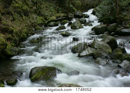 Brisk pascolano Stream