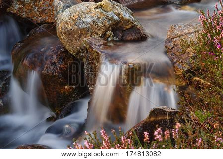 A clear mountain stream in near Beddgelert in the Snowdonia National Park in North Wales surrounded with wild heather. Shot with a long exposure to accentuate the flow of the water
