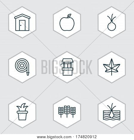 Set Of 9 Plant Icons. Includes Fire Tube, Autumn Plant, Water Source And Other Symbols. Beautiful Design Elements.