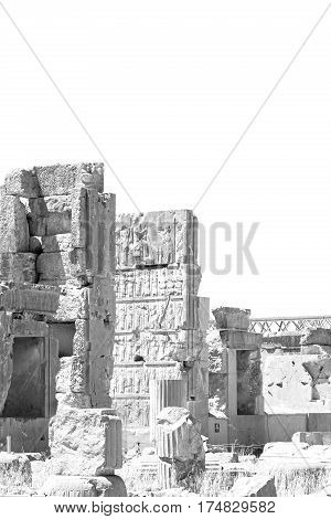 In Iran          Persepolis