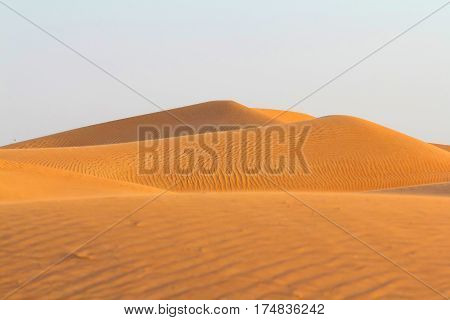 Yellow dunes in desert. Dunes in desert