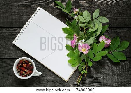 Branch of blossoming rose hips dried briar and notebook to write recipes and methods of application. Used in herbal medicine nutrition horticulture