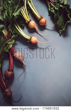 Mix Of Red And Gold Beets On Grey Background. Food Background. Concept Of Healthy Eating