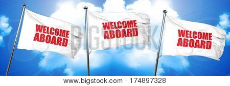 welcome aboard, 3D rendering, triple flags