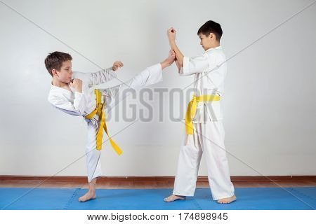 Two Boys Demonstrate Martial Arts Working Together