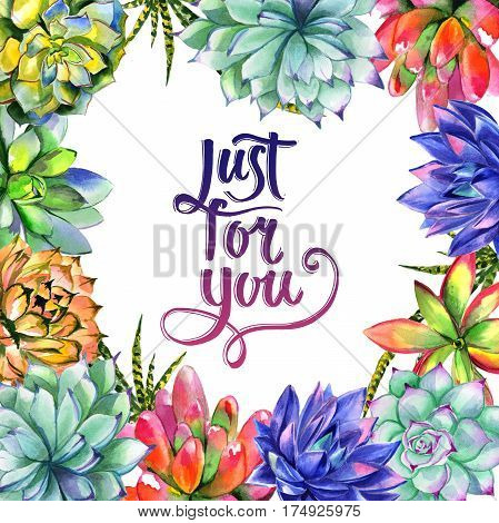 Wildflower succulentus flower frame in a watercolor style isolated. Full name of the plant: succulentus. Aquarelle wild flower for background, texture, wrapper pattern, frame or border.