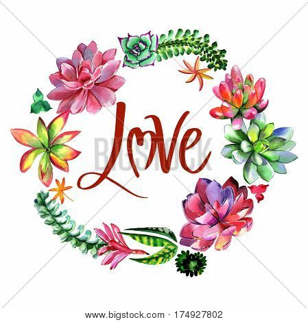 Wildflower succulentus flower frame in a watercolor style isolated. Full name of the plant: succulentus. Aquarelle wild flower for background, texture, wrapper pattern, frame or border.