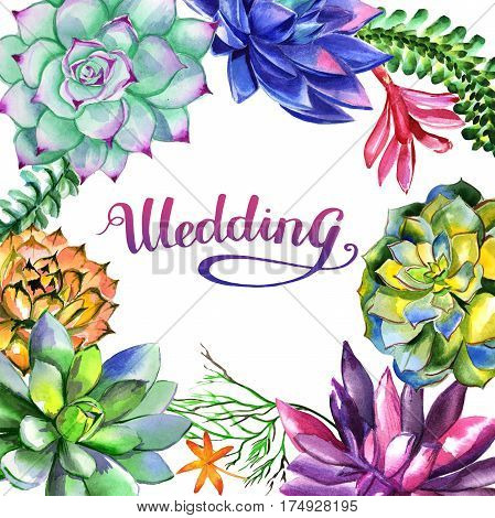 Wildflower succulentus flower frame in a watercolor style isolated. Full name of the plant: succulentus. Aquarelle wild flower for background, texture, wrapper pattern, frame or border.