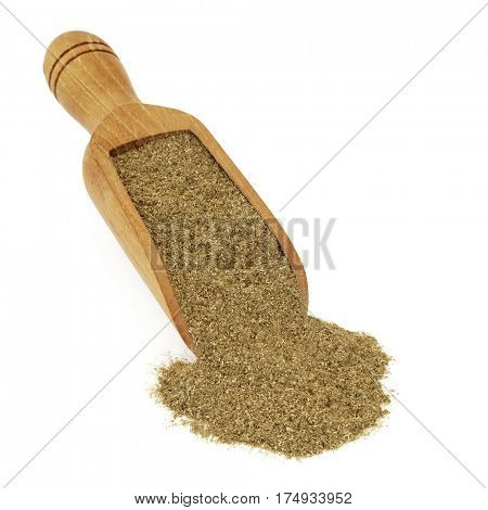Gymnema sylvestre gurmar herb powder in a wooden scoop over white background. Used in ayurveda herbal medicine to help weight loss and as an appetite suppressant.