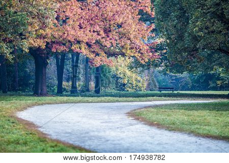 Autumn in park Aleksandriya. yellow. tree. colorful.