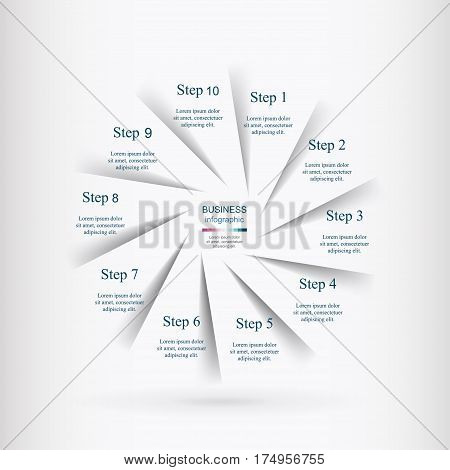 Vector Infographic