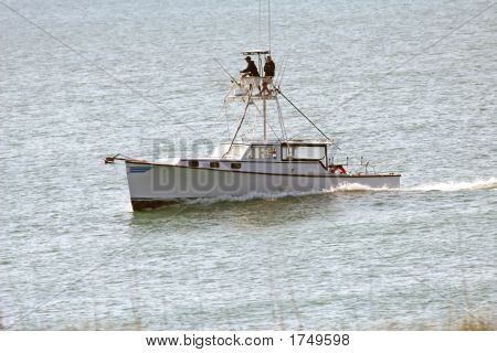 Barco de pesca
