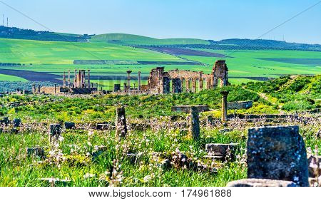 Panorama of the antique city of Volubilis, the capital of the kingdom of Mauretania and a UNESCO heritage site in Morocco