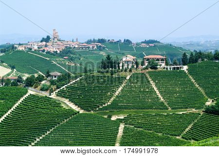 The Village Of Serralunga D'alba In Piedmont