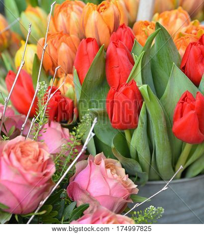 Orange and red tulips in a vase. Spring concept.