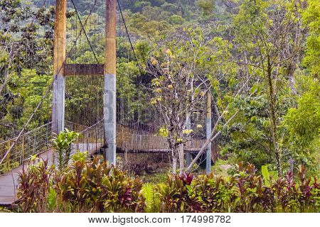 Landscape Scene In The Amazonia Ecuadorian Side.