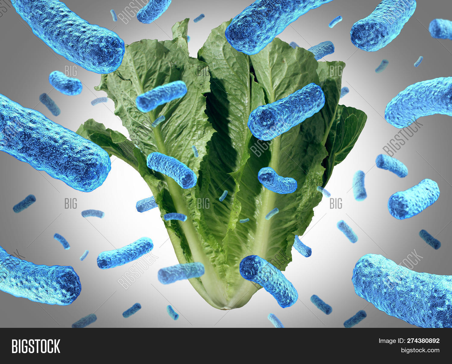 Romaine Lettuce E Coli Image & Photo (Free Trial) Bigstock