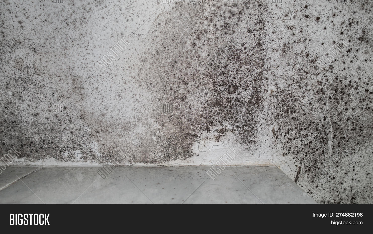 Black Damp Patches Image & Photo (Free Trial) Bigstock