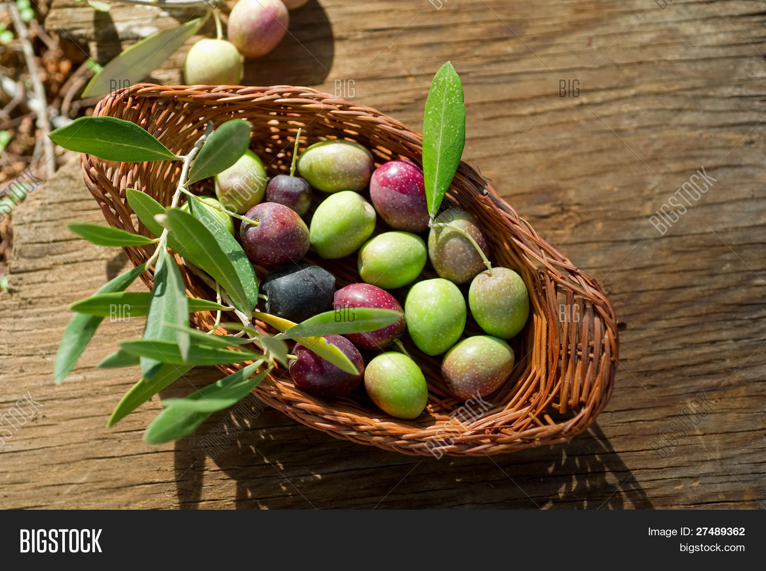 Olive Branch Baskets at Florida Smith blog