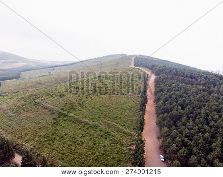Aerial Drone View Of Ugur Mumcu Aydos Forest In Istanbul / Kartal