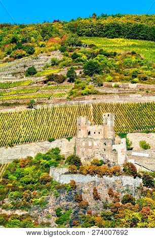 Ehrenfels Castle With Vineyards In Autumn. The Upper Middle Rhine Valley, Germany