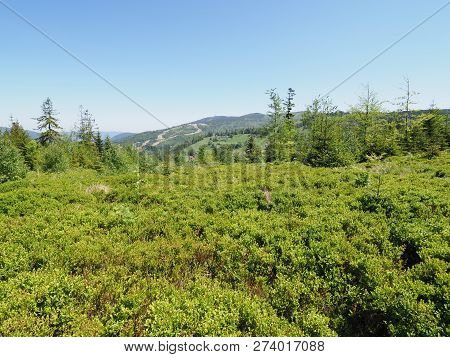Salmopol Pass Near Kotarz Mount At Silesian Beskids Mountains Range Landscapes Above Amazing Europea