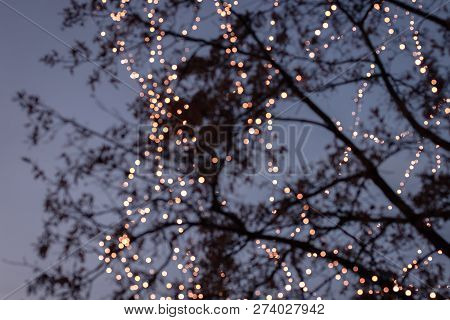 Blurry Christmas Lights On An Evening. Lightchain, Bright, Xmas, Mood;