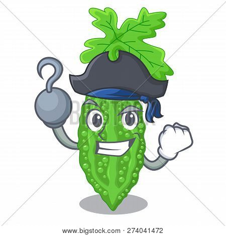 Pirate Bitter Melon Isolated On A Mascot