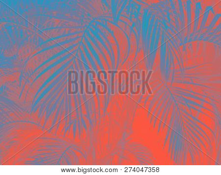 Coral Color Background . Coral Color Backdrop For Your Design. Trendy Color Concept Of The Year 2019
