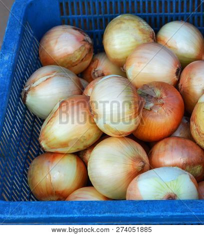 fresh onions for sale in market - ripe onions in basket background