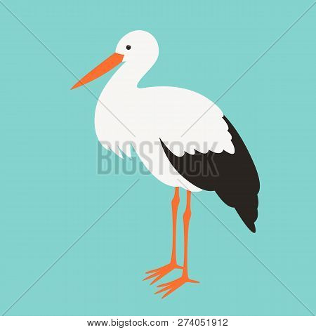Stork Stends, Vector Illustration ,flat Style ,profile View