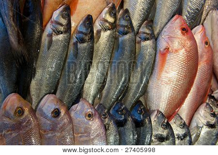fisk