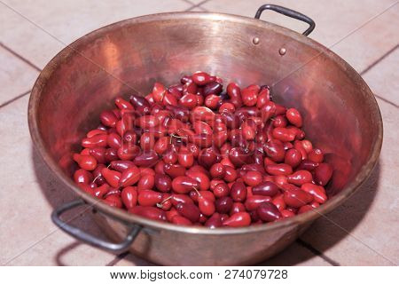 Bright Red Dogwood (cornel) In Vintage Copper Bowl On The Ceramic Floor. Close Up, Indoors.