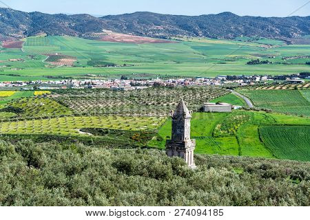 Numidian Tower Rising Above Olive Trees In Dougga, Tunisia