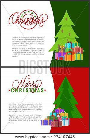 Merry Christmas Lettering Inscriptions On Invitations. Wishes Of Happy New Year, Spruces And Forest 